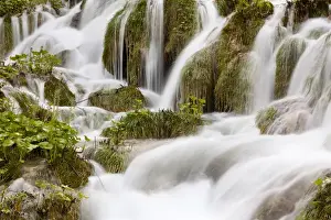 Images Dated 4th May 2010: The Plitvice Lakes in the National Park Plitvicka Jezera in Croatia. The lower lakes