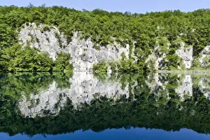 Images Dated 8th June 2010: The Plitvice Lakes in the National Park Plitvicka Jezera in Croatia