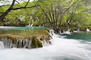 Images Dated 4th May 2010: The Plitvice Lakes in the National Park Plitvicka Jezera in Croatia. The lower lakes