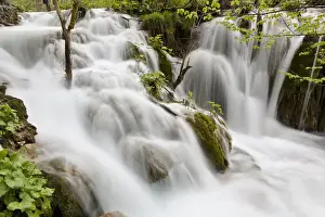 Images Dated 3rd May 2010: The Plitvice Lakes in the National Park Plitvicka Jezera in Croatia. The lower lakes