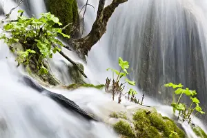 The Plitvice Lakes in the National Park Plitvicka Jezera in Croatia. The lower lakes