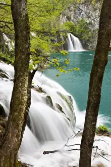 Images Dated 3rd May 2010: The Plitvice Lakes in the National Park Plitvicka Jezera in Croatia. The lower lakes