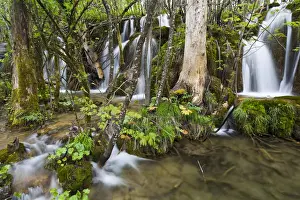 Images Dated 4th May 2010: The Plitvice Lakes in the National Park Plitvicka Jezera in Croatia. The upper lakes