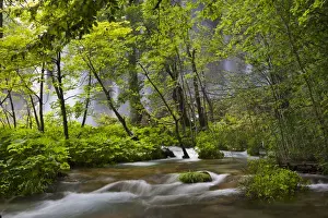 The Plitvice Lakes in the National Park Plitvicka Jezera in Croatia. The upper lakes