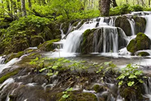 Images Dated 4th May 2010: The Plitvice Lakes in the National Park Plitvicka Jezera in Croatia. The upper lakes