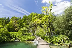 Images Dated 8th June 2010: The Plitvice Lakes in the National Park Plitvicka Jezera in Croatia. Typical plank path