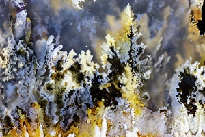 Images Dated 4th September 2024: Plum agate