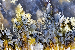 Images Dated 4th September 2024: Plum agate