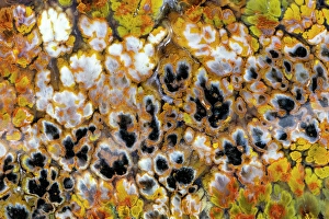 Images Dated 4th September 2024: Plum agate
