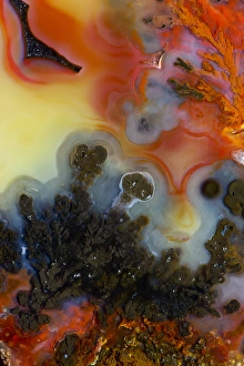 Images Dated 25th January 2013: Plume Agate, Quartzsite, AZ