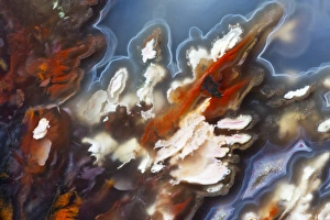 Images Dated 20th September 2012: Plume Agate, Sammamish Washington
