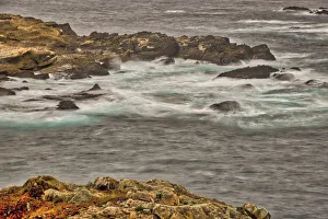 Point Lobos, Carmel, California