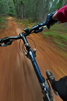 Bicycle Prints: Point of view of singletrack riding at the Pig Farm Trails near Whitefish, Montana, USA