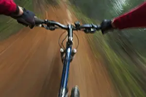 Images Dated 8th November 2010: Point of view of singletrack riding at the Pig Farm Trails near Whitefish, Montana, USA