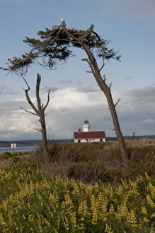 Images Dated 20th May 2010: Point Wilson Lighthouse