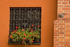 Poland, Gdansk. Detail of wrought iron window cover and flower box