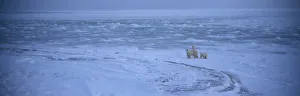 Images Dated 16th November 2004: 02