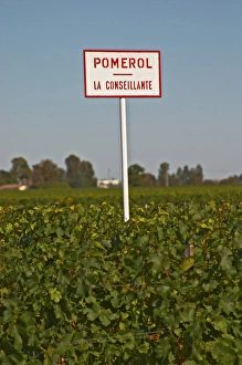 Cultivate Prints: Pomerol - a sign for La Conseillante Chateau and vineyard