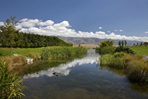 Winery Prints: Pond at Northburn Vineyard, Central Otago, South Island, New Zealand