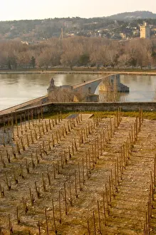 Bucolic Prints: The Pont Saint St Benezet bridge in Avignon on the Rhone river and a vineyard seen