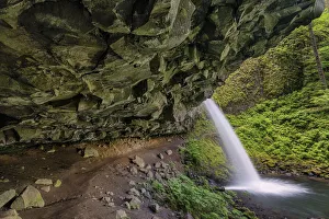 Ponytail Falls Prints: Ponytail Falls, Columbia River Gorge, Oregon