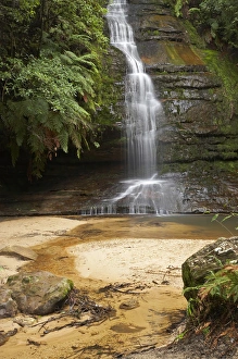 New South Wales Prints: Pool of Siloam, Leura, Blue Mountains, New South Wales, Australia
