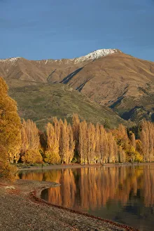 Images Dated 3rd May 2018: Poplar Trees and Lake Wanaka, Otago, South Island, New Zealand