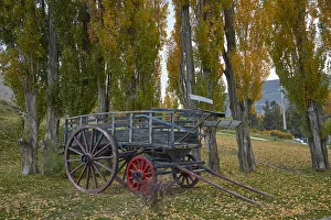 Adventure Prints: Poplar trees and old wagon, El Calafate, Patagonia, Argentina