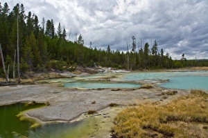 Images Dated 30th August 2015: Porcelain Basin, Norris Geyser Basin, Yellowstone National Park, Wyoming, USA