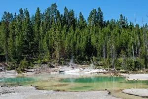 Images Dated 25th April 2022: Porcelain Basin, Norris Geyser Basin, Yellowstone National Park, Wyoming, USA