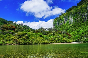 Fern Prints: The Pororari River, Paparoa National Park, Punakaiki, New Zealand