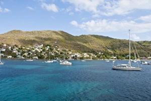 Images Dated 21st January 2010: Port Elizabeth harbour, Bequia, St. Vincent & The Grenadines