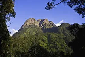 The Portal Peaks in the Rwenzori, Uganda. The Rwenzori Mountain Range is a National Park