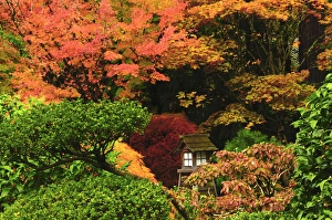 Portland Japanese Garden in Autumn, Portland, Oregon, USA
