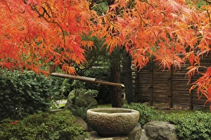 Images Dated 23rd October 2008: Portland Japanese Garden in Autumn; Portland; Oregon; USA