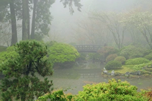 Atmospheric Prints: Portland Japanese Garden Fogged In: Portland, Oregon USA