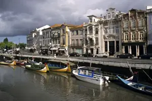 Aveiro Prints: Portugal, Aveiro. Moliceiros (seaweed collecting boats) moored along the Canal Central