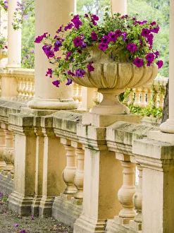 Images Dated 7th June 2021: Portugal, Aveiro. Parque Dom Pedro Infante in Aveiro. Stone balustrade with pergola