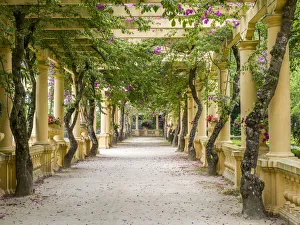 Images Dated 7th June 2021: Portugal, Aveiro. Parque Dom Pedro Infante in Aveiro. Stone balustrade with pergola