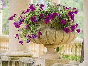 Images Dated 7th June 2021: Portugal, Aveiro. Parque Dom Pedro Infante in Aveiro. Stone balustrade with pergola