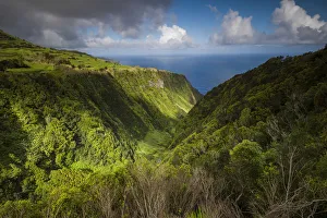Viewpoint Prints: Portugal, Azores, Faial Island. Landscape from the Miradouro Ribeira Funda