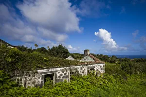Images Dated 10th May 2017: Portugal, Azores, Faial Island, Norte Pequeno