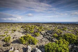 Arco Prints: Portugal, Azores, Pico Island, Arcos. Volcanic landscape on Northern Pico Island