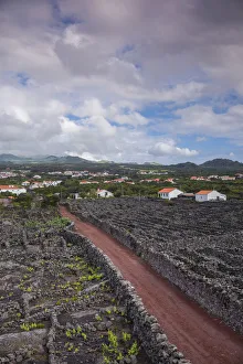 Images Dated 11th May 2017: Portugal, Azores, Pico Island, Criacao Velha