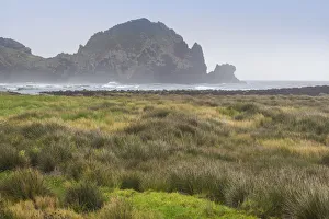 Portugal, Azores, Pico Island, Lajes do Pico. Harbor marshes