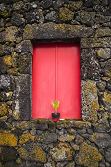 Images Dated 11th May 2017: Portugal, Azores, Pico Island, Madalena. Red doors on barn
