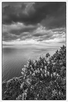 Viewpoint Prints: Portugal, Azores, Pico Island, Terra Alta