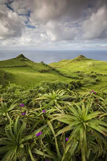 Images Dated 25th May 2017: Portugal, Azores, Santa Maria Island, Lagoinhas. Landscape