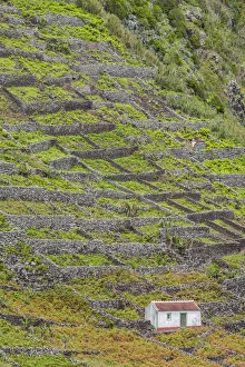 Images Dated 25th May 2017: Portugal, Azores, Santa Maria Island, Maia
