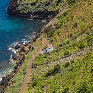 Images Dated 24th May 2017: Portugal, Azores, Santa Maria Island, Sao Lourenco